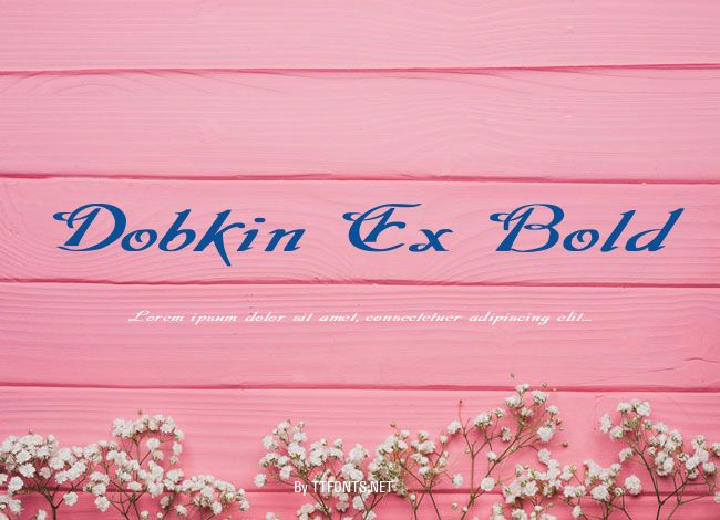 Dobkin Ex Bold example